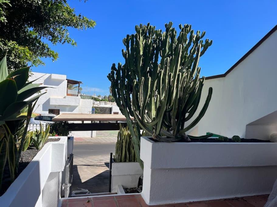 Paradise Playa Chica Con Terraza A 100M Del Mar Πουέρτο Ντελ Κάρμεν Εξωτερικό φωτογραφία